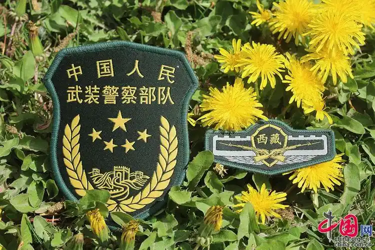 军营何颜色 带你见分晓 _ 图片中国_中国网