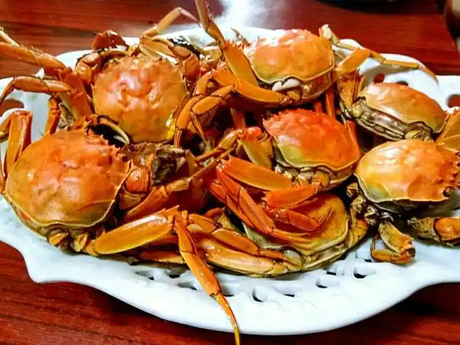 春节,私家菜(副本)