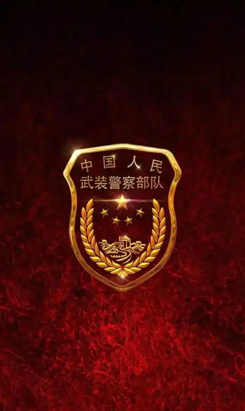 81建军节我们一起认识一下军徽吧