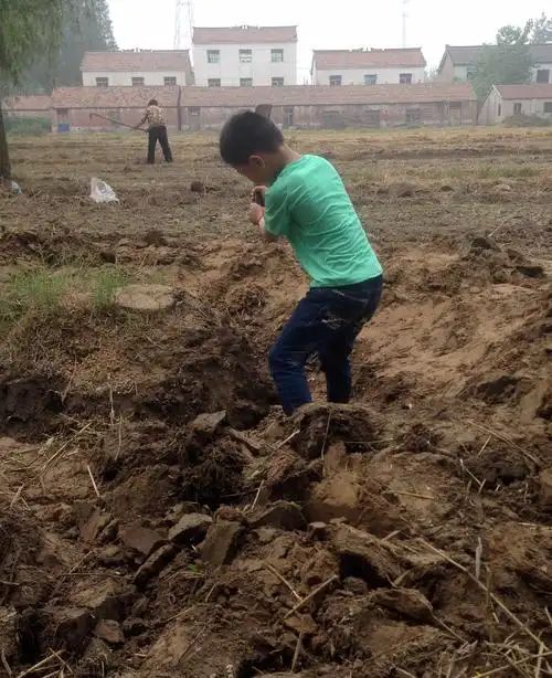 2016年6月11日在帮奶奶干农活,累得满头大汗,真是厉害的小男子汉!