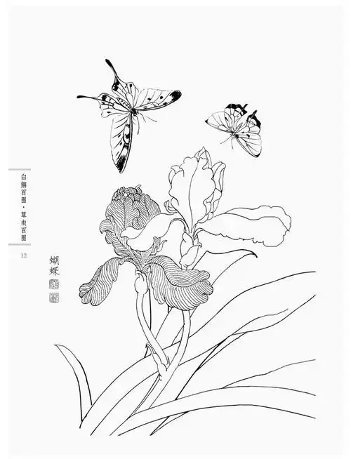 初学者之友-白描百图.草虫百图