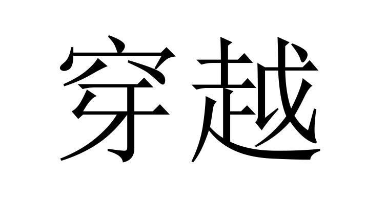 商标文字穿越商标注册号 49335233,商标申请人义乌市穿越电脑有限公司