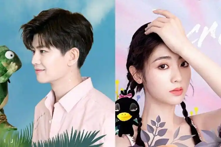 乌鸦小姐与蜥蜴先生播出时间定档426任嘉伦邢菲新戏剧情介绍