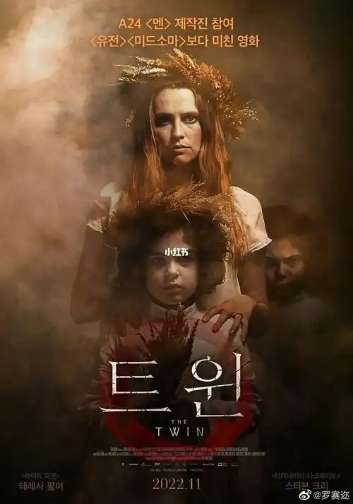 双生thetwin还可以但太长