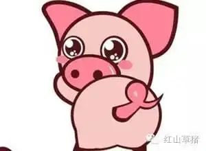 小林简笔画猪尾巴