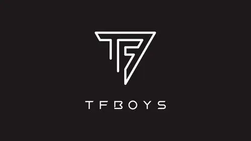 2018if奖tfboyslogo设计tfboyslogodesign