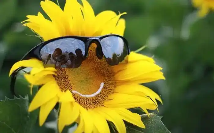 治愈一切的除了时间,还有微笑!皮一下很开心