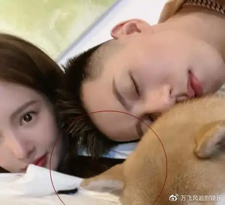 金晨卡斯柏晒合照两人的举动完全像在热恋中评论区一片恭喜