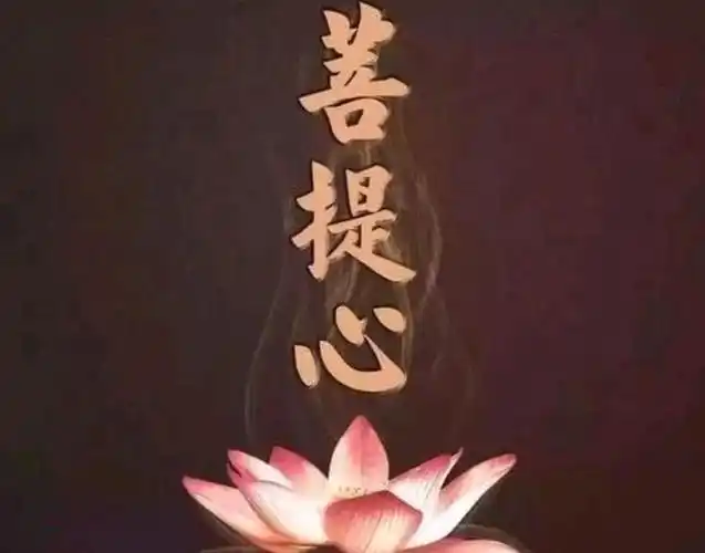 佛教中说:心外无佛,佛在心中,要向心内求,那么心在哪里呢?