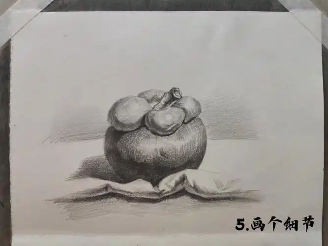 素描山竹步骤