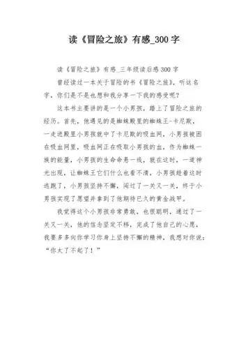 读冒险之旅有感300字作文