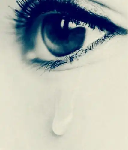 眼睛图片真正的爱情都写在彼此的眼睛里