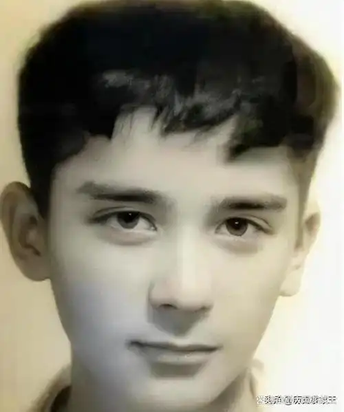 果然又帅又有才的都"上交"给国家了,没想到汪文斌年轻时这么帅