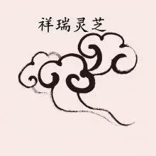 山东灵芝基地批发灵芝菌棒灵芝菌包灵芝出芝菌袋产量高易管理