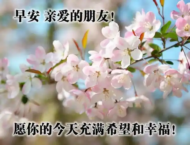 原创唯美早安问候语动画2021最新创意早上好表情图片合集