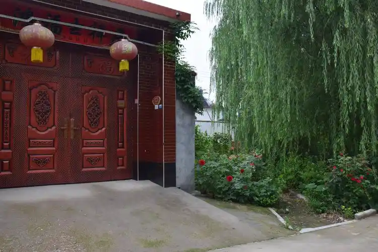 打造美丽庭院,扮靓农村生活 ——峄山镇"美邹美家--庭院 "工作记