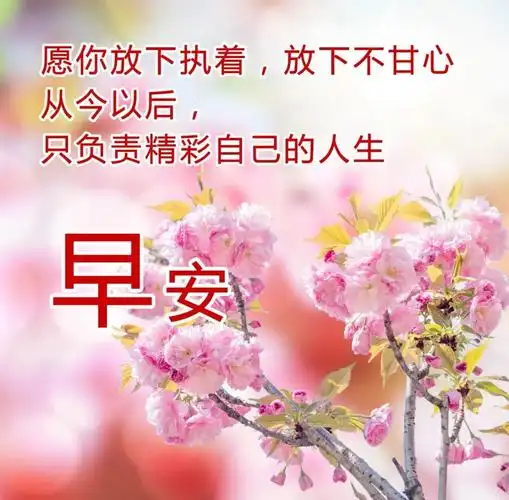 每日一句_晶羽科技