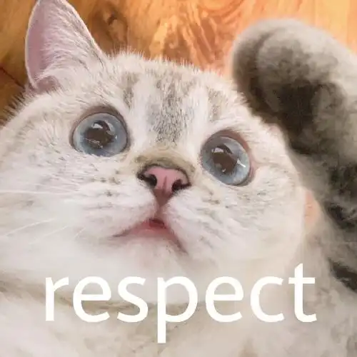 萌宠猫星人respect尊重搞怪呆萌gif动图_动态图_表情包下载_soogif