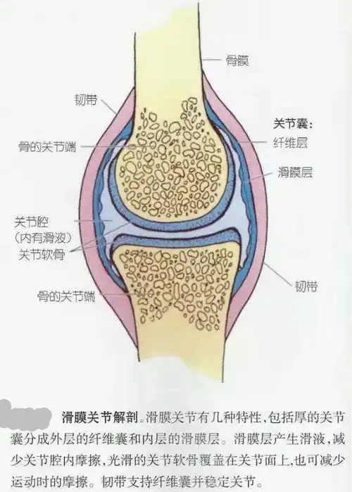 你了解滑膜炎性膝关节痛吗