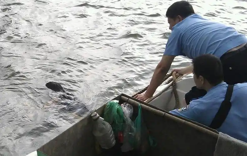 杭州贴沙河惊现"抱孩子女子"尸体