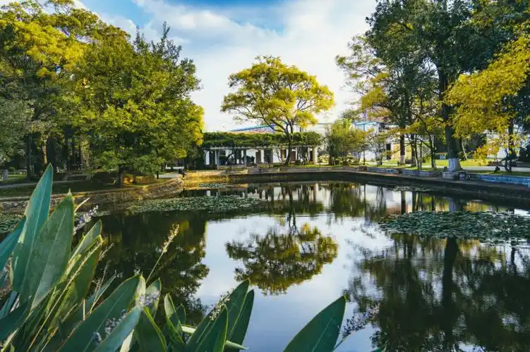 昆明庾园的冬日景色精巧而秀美