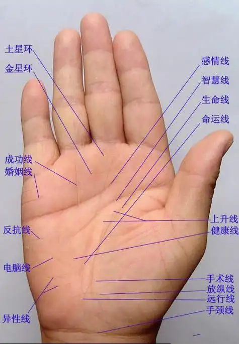 一生结几次婚 看手纹就知道!