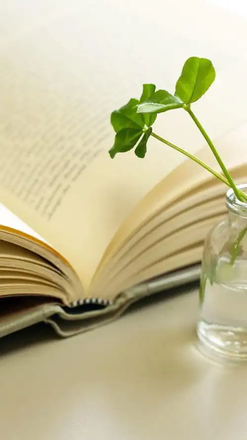 阅读分享三十二:《掌握2个万能结构,再也没有你写不出来的书评》