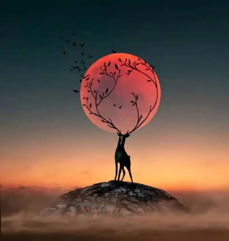 舒心治愈的背景图 一看就舒心,治愈的背景版图像