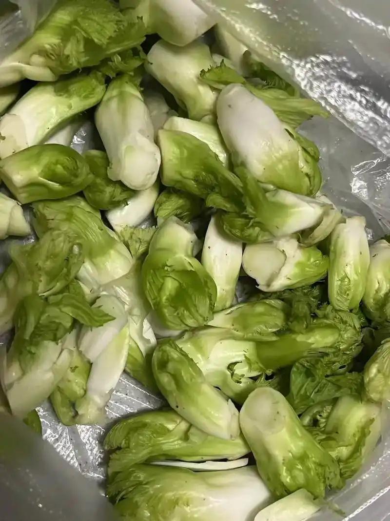 就因为昨天某人发了一个儿菜(榨菜的照片,#每一张照片都是满满 - 抖音