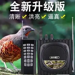 鸟叫声播放器户外音响扩音器声卡远程大音量鸡煤竹鸡声音便携式z1