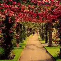 风景头像 霸气 微信头像