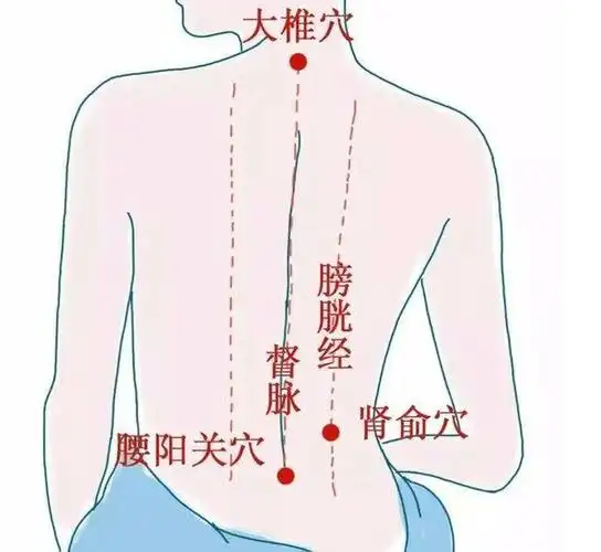 三伏天降雨多湿气重,3个方法弥补你错过的阳气|膀胱经|督脉|排寒_网易
