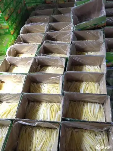 清水笋罐头 清水罗笋