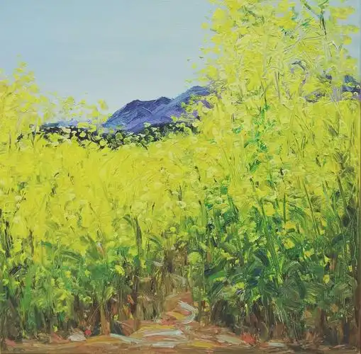 《油菜花》(油画) 周 青