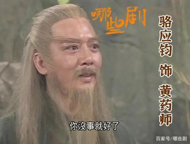 骆应钧饰黄药师