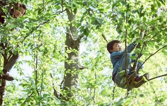 回忆儿时的夏天
