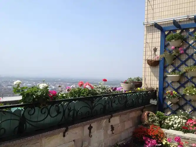 10㎡的"小露台花园",照样能玩出花海效果!