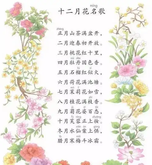 和孩子一起读十二月花名歌新的一年新的养花生活