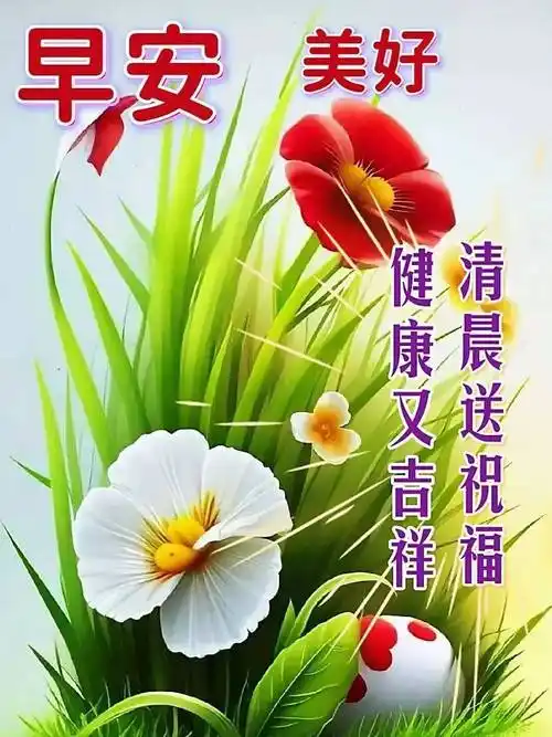 1月8日周一早上好,最新版漂亮新周早安祝福语表情图片大全问候