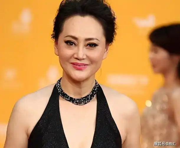 大宋佳,代表作《庭院深深》《尘埃落定》等.