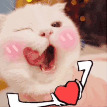 猫咪手捧爱心_猫咪_爱心表情