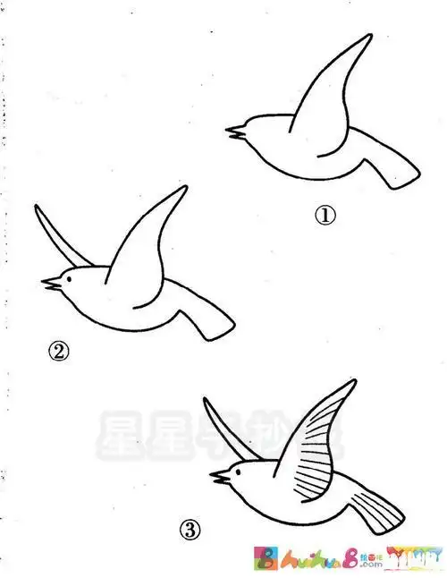 简笔画教程飞翔小鸟