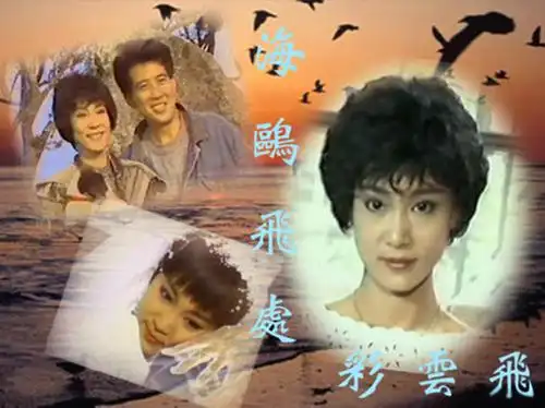 海鸥飞处彩云飞 其它海报 - mtime时光网