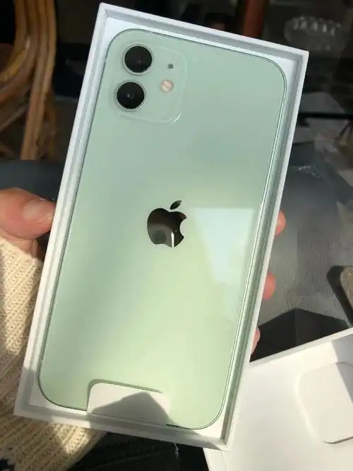 iphone 12 正式开售,绿色无差评,需加价购买?(2)