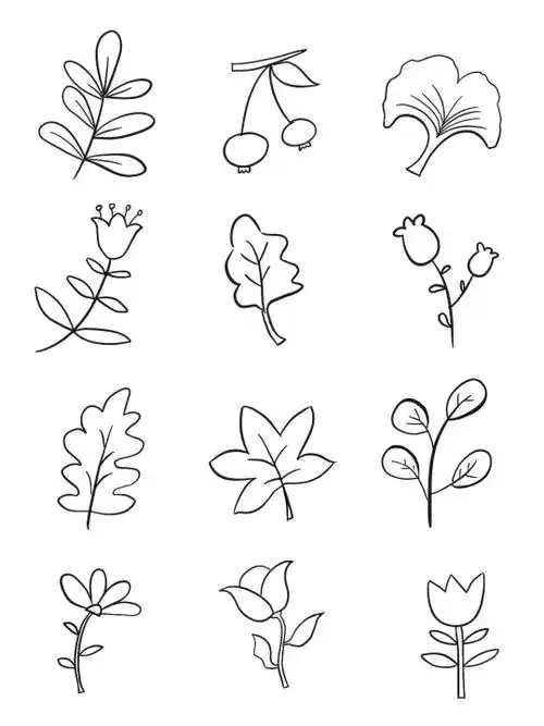 同时也收集了素材

临摹 #100种花的简笔画