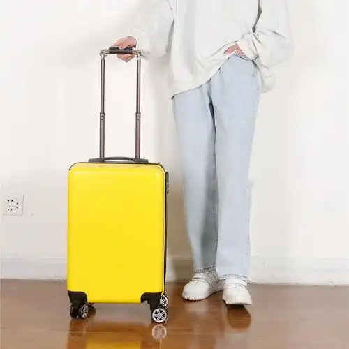 定制成人拉杆箱20寸复古旅行箱万向轮行李箱学生密码