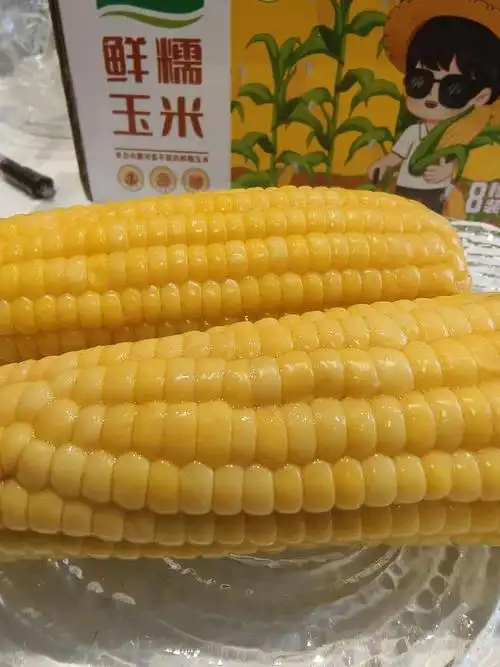 【第三团独家】巴彦淖尔糯玉米,甜糯交织,细腻口感,一口入魂,回味无穷