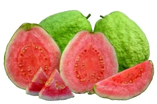 100种99%北方人绝对不认识的水果