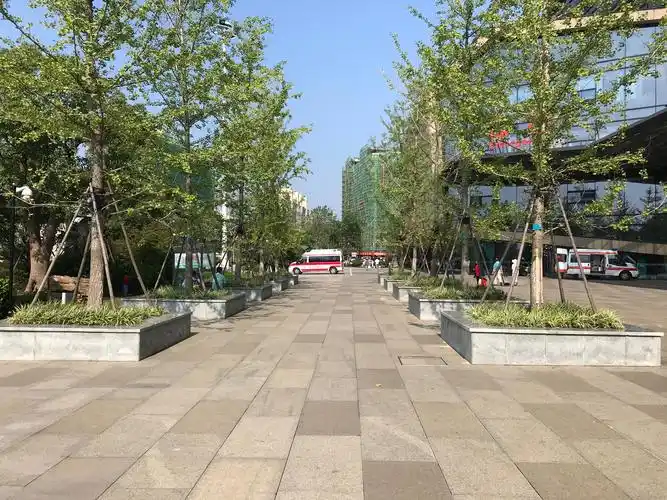 景观树阵,营造序列感