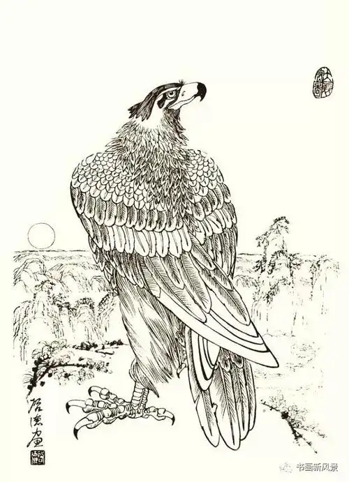 鹰姿勃发鹰谱分享